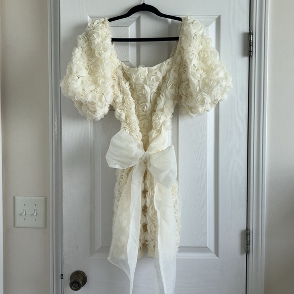 Cream Rose Mini Dress - Picture 2 of 4